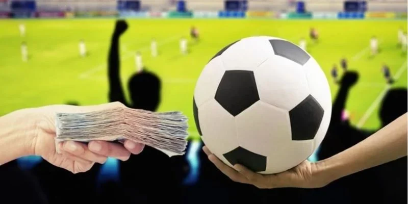 Những dạng phổ biến